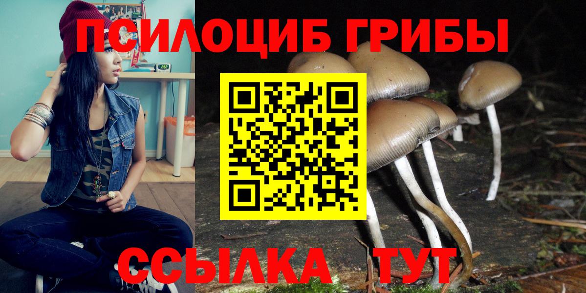 Псилоцибиновые грибы Psilocybe  Вход с VPN  Владивосток 